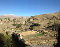 Ballade dans le canyon de la Colca et route vers Puno